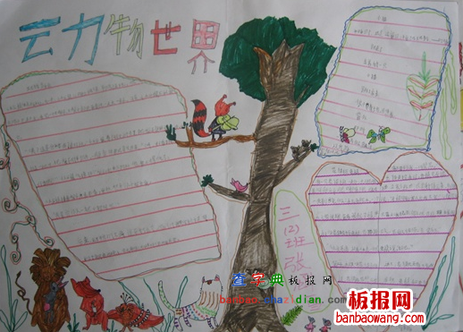 小学生物手抄报