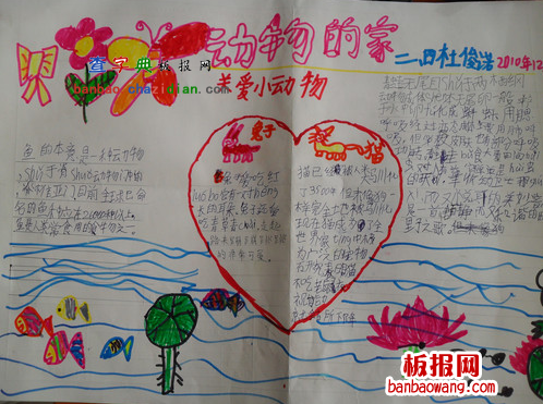 关爱动物手抄报