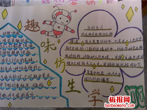 趣味生物手抄报
