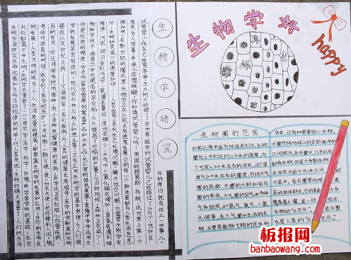 生物学手抄报