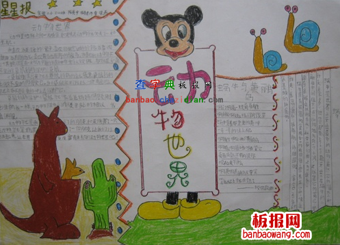 保护小动物手抄报