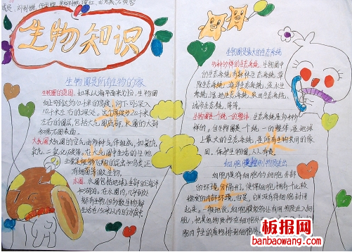 生物知识手抄报