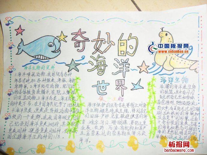 有关海洋生物的手抄报