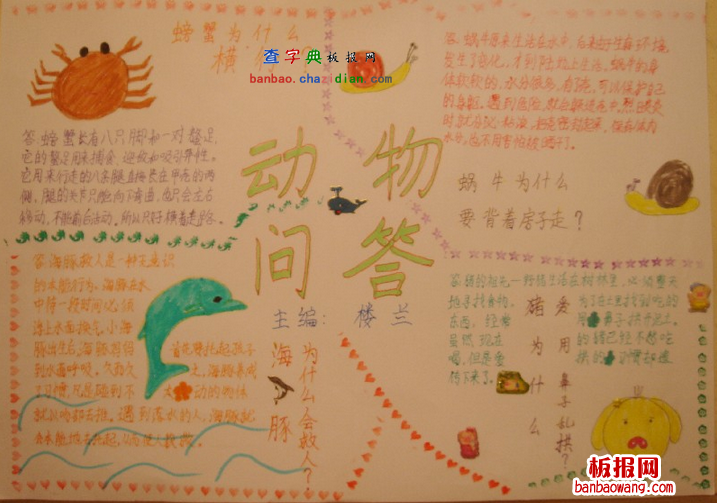 关于动物的手抄报