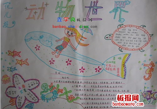 生物手抄报
