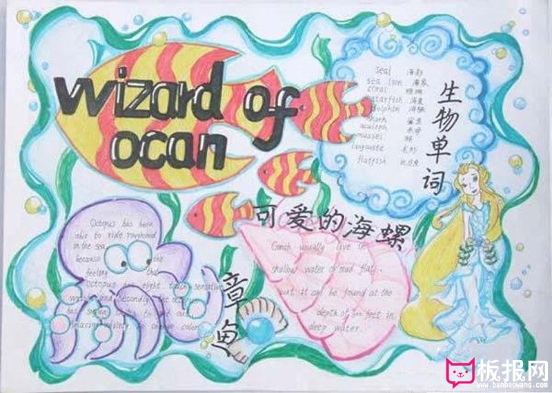 英语手抄报图片，可爱的生物