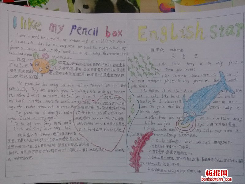 英语之星英语手抄报