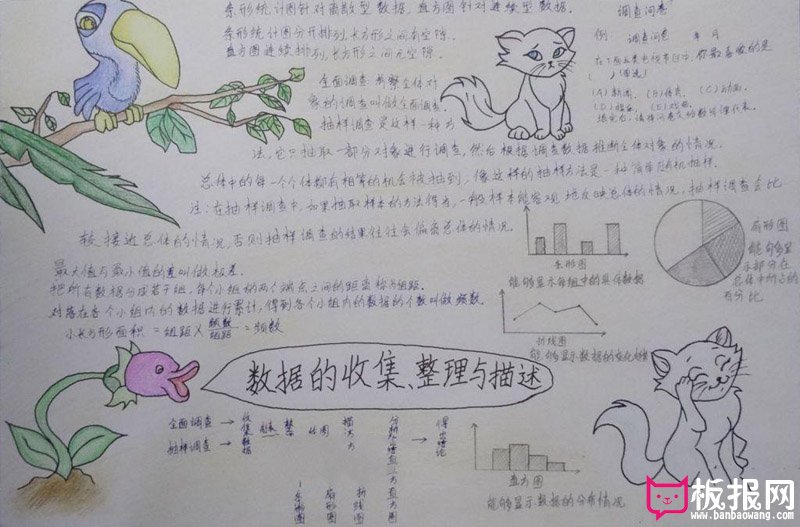 数学手抄报图片，数据的收集与整理