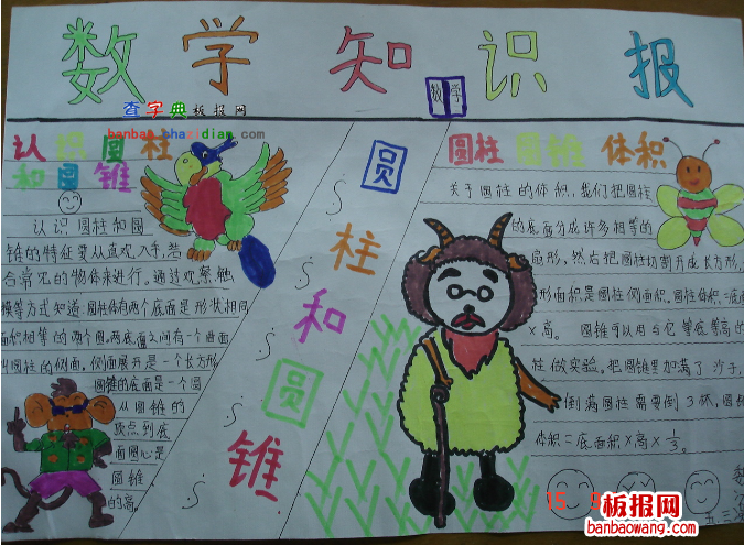 数学知识报
