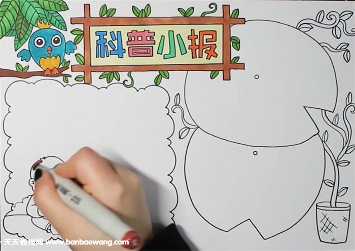 科普手抄报