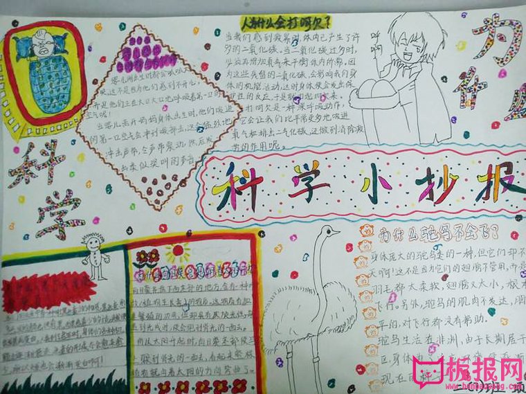好看的科学小抄报，身边的科学