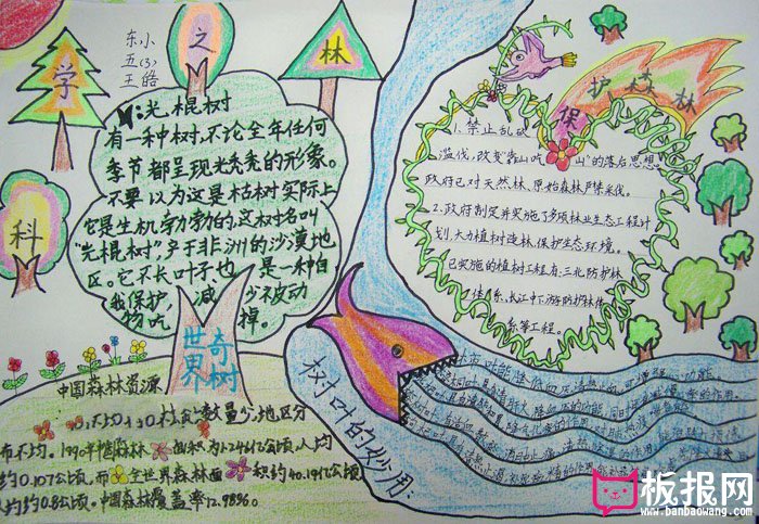 我爱科学手抄报图片，科学之林