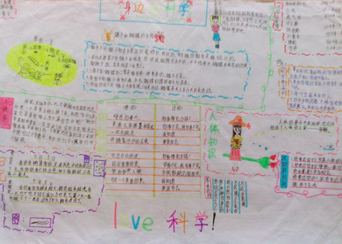 小学生科学手抄报，身边