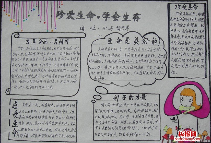 珍爱生命手抄报资料