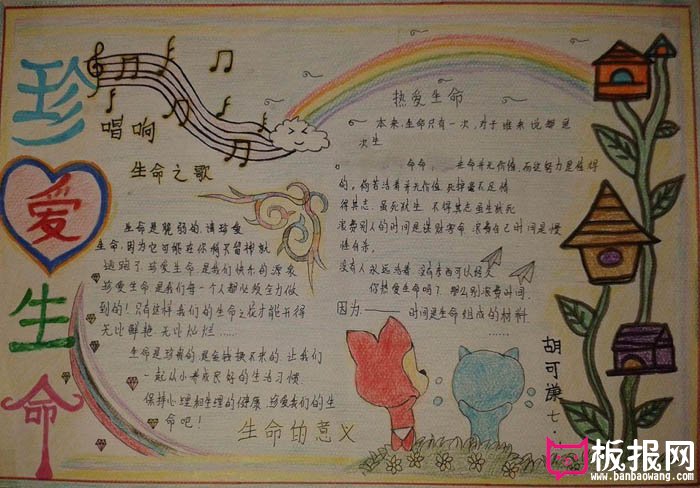 珍惜生命手抄报大全，唱响生命之歌