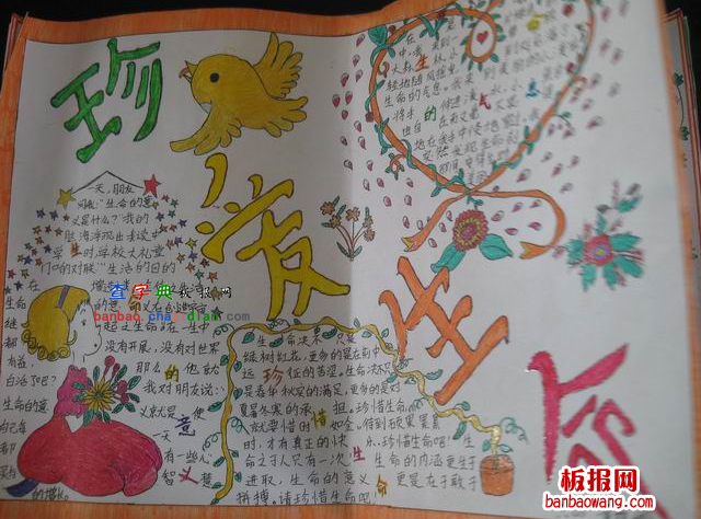 珍惜生命手抄报