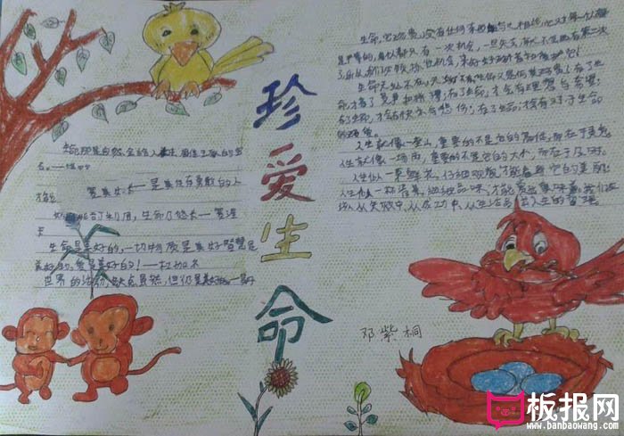 珍惜生命手抄报大全，生命可贵