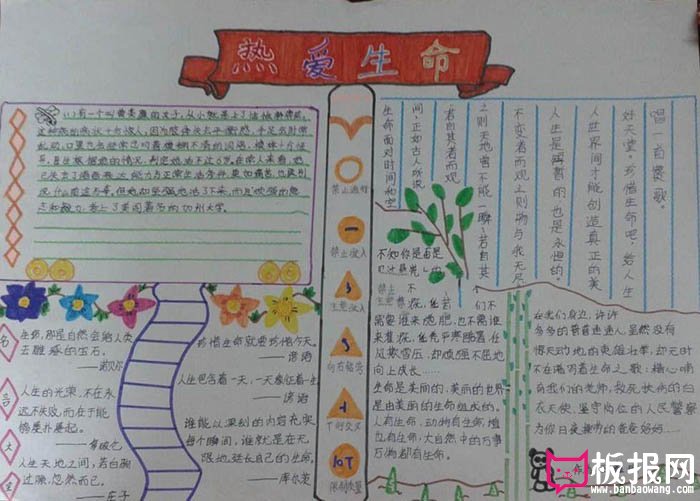 珍惜生命手抄报大全，请热爱生命
