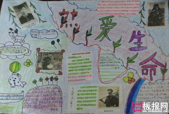 珍惜生命手抄报大全，生命的意义