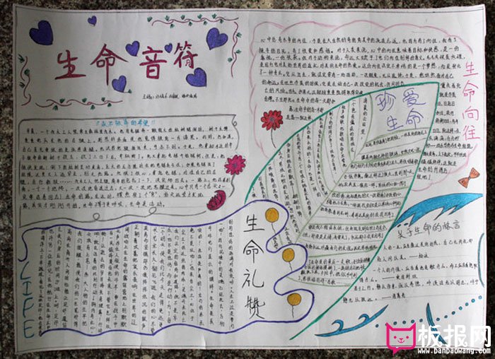 珍爱生命健康成长手抄报，生命音符