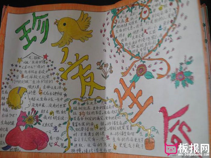 珍爱生命的手抄报内容，生命的意义