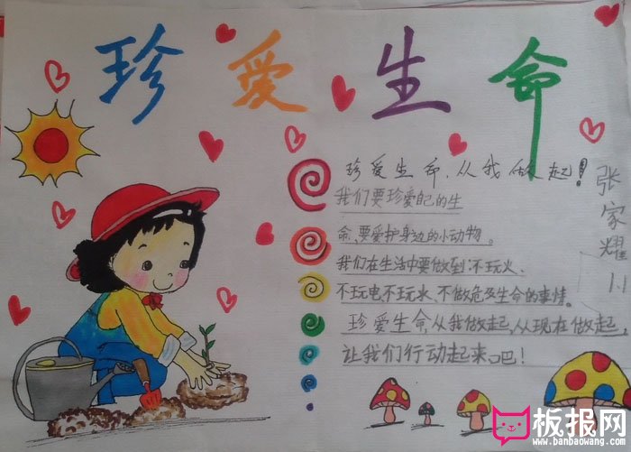 小学生珍爱生命的手抄报，珍爱生命从我做起