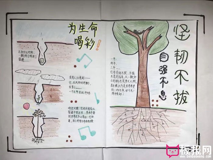 珍爱生命手抄报图片，为生命喝彩