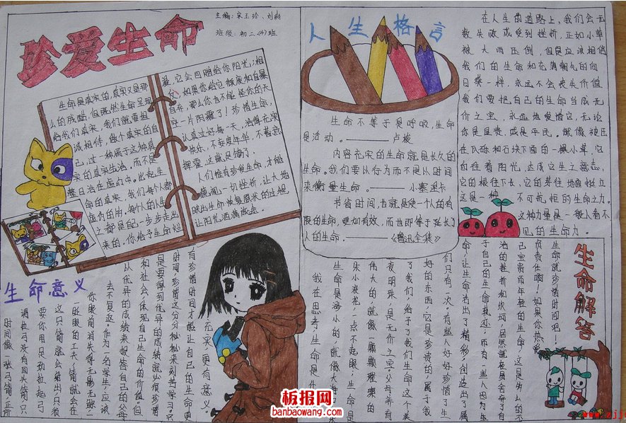 珍爱生命的手抄报设计