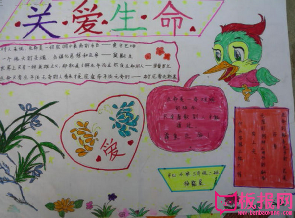 关爱生命手抄报，热爱生活