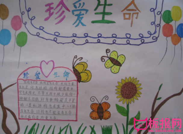 生命是盛开的花朵，珍爱生命手抄报