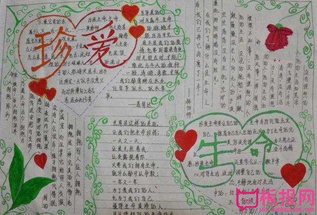 关于珍惜生命的手抄报，人生似一束鲜花