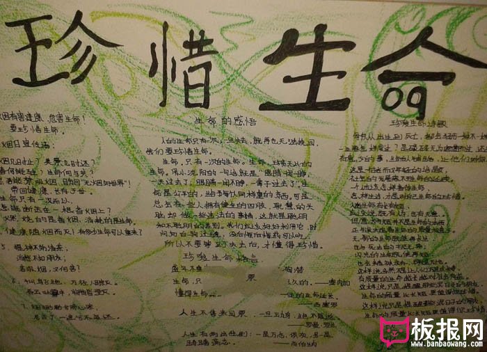 珍惜生命手抄报大全，生命的感悟