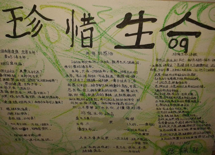 珍惜生命手抄报大全，生命的感悟