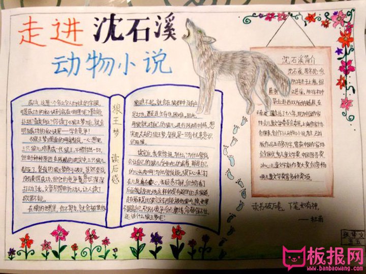 书香阳光成长手抄报图片，走进沈石溪