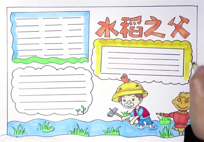 水稻之父手抄报怎么画