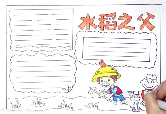 水稻之父手抄报怎么画