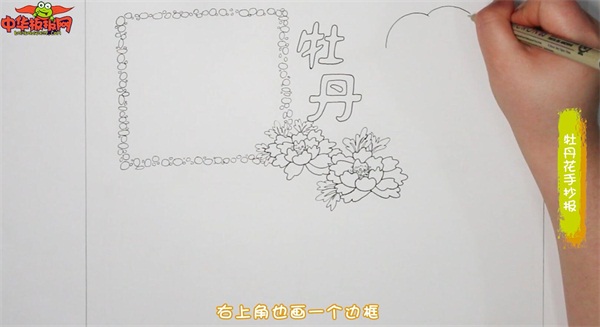 牡丹花手抄报
