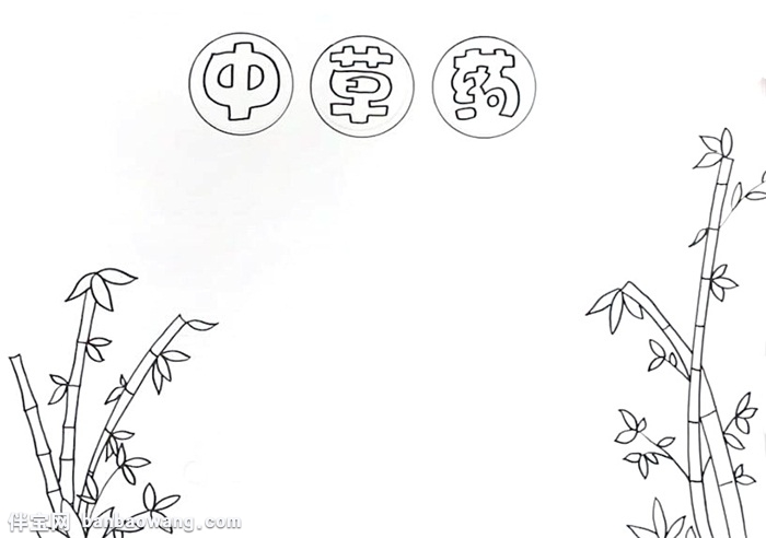中草药手抄报怎么画