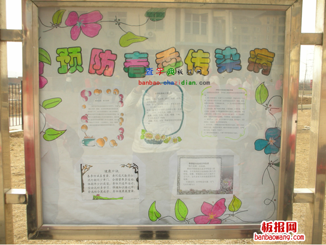 预防禽流感电子手抄报