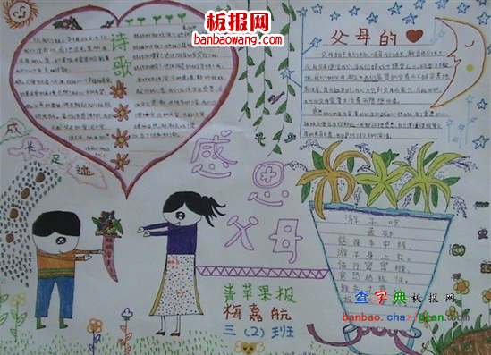 关于感恩父母的手抄报