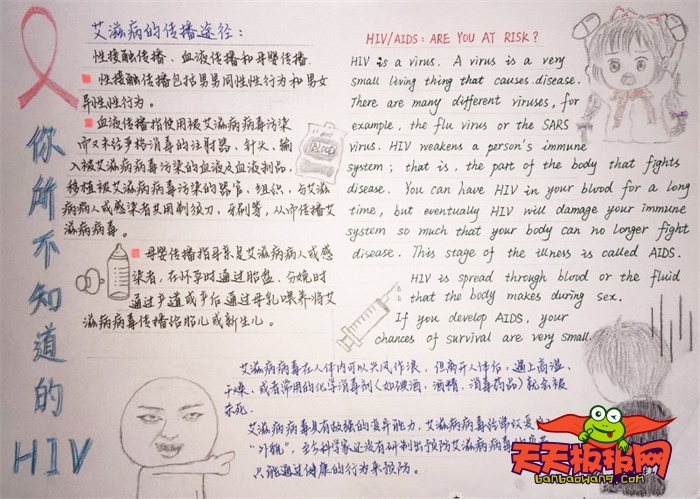 艾滋病手抄报图片大全，你所不知道的HIV