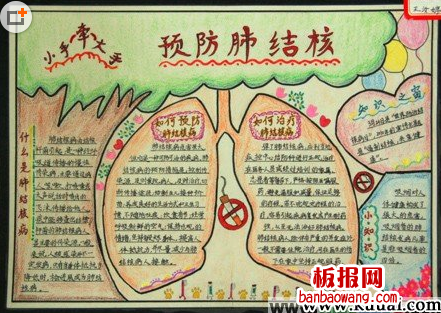 2014防控结核主题手抄报