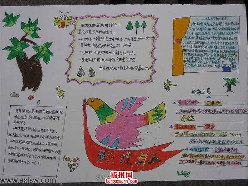 环境与人的手抄报