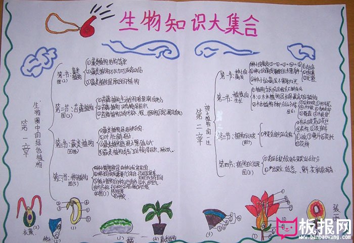 期末冲刺手抄报，生物知识大集合
