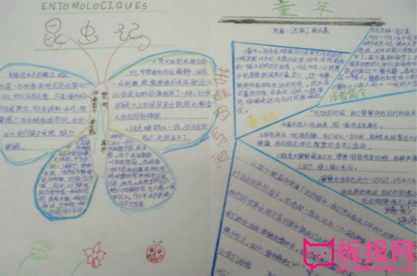 名著手抄报，昆虫记